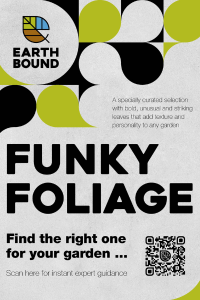 Funky Foliage