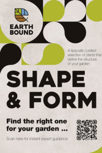Shape & Form